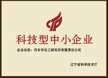 科技型中小企業(yè)